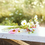 結婚に踏み切れない社会人急増？既婚者が語る結婚して良かったこと