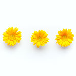 恋人をつくるために大切な3つのこと